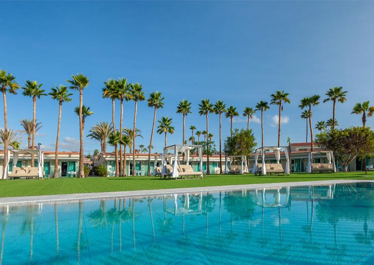 Navidad Kumara Serenoa Gran Canaria Navidad Kumara Serenoa Gran Canaria